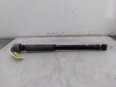 Rear shock absorber/damper