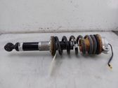 Rear shock absorber/damper