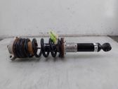 Rear shock absorber/damper