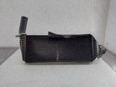 Radiador intercooler