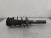 Front shock absorber/damper