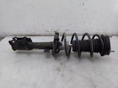 Front shock absorber/damper