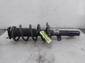 Front shock absorber/damper