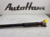 Rear shock absorber/damper