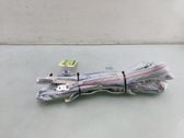 Roof airbag