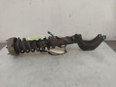 Front shock absorber/damper