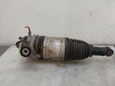 Rear shock absorber/damper