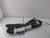 Roof airbag