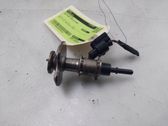 AdBlue injector