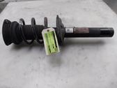Front shock absorber/damper