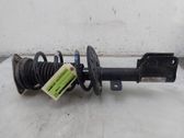 Front shock absorber/damper