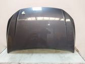 Engine bonnet/hood