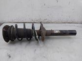Front shock absorber/damper