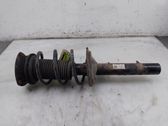 Front shock absorber/damper