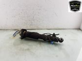 Rear shock absorber/damper