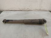 Rear shock absorber/damper