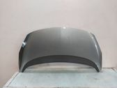 Engine bonnet/hood