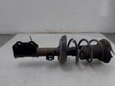 Front shock absorber/damper