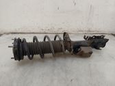 Front shock absorber/damper