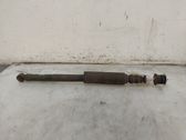 Rear shock absorber/damper