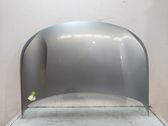 Engine bonnet/hood