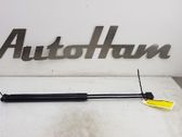 Tailgate/trunk strut/damper