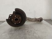 Rear wheel hub spindle/knuckle