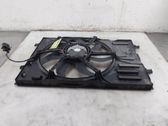 Fan impeller
