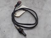 Sonde lambda