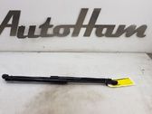 Tailgate/trunk strut/damper