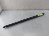 Tailgate/trunk strut/damper