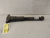 Rear shock absorber/damper