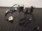 Rear door wiring loom