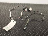Rear door wiring loom