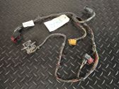 Rear door wiring loom