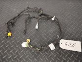 Other wiring loom