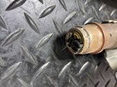 Roof airbag