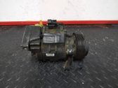 Klimakompressor Pumpe
