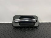 Manecilla interna puerta trasera