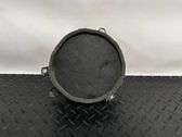 Panel speaker