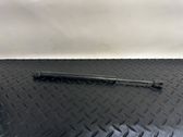 Tailgate/trunk strut/damper
