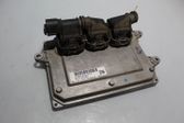 Engine control unit/module ECU