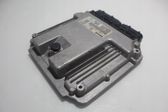 Engine control unit/module ECU