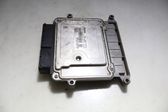 Engine control unit/module ECU