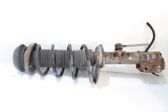 Front shock absorber with coil spring