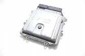 Engine control unit/module ECU