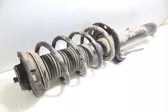 Front shock absorber with coil spring