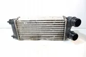 Intercooler radiator