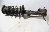 Front shock absorber with coil spring