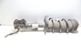 Front shock absorber with coil spring